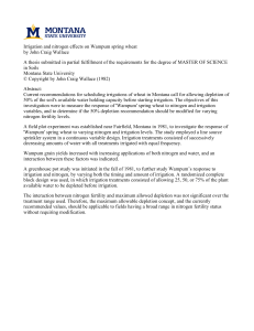 Irrigation and nitrogen effects on Wampum spring wheat