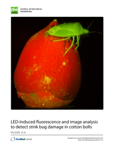 LED-Induced fluorescence and image analysis et al.