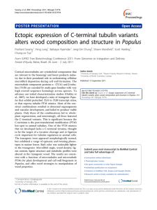 Ectopic expression of C-terminal tubulin variants POSTER PRESENTATION Open Access