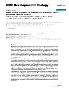 BMC Developmental Biology Lectin binding profiles of SSEA-4 enriched, pluripotent human