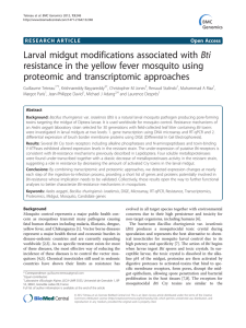Larval midgut modifications associated with Bti proteomic and transcriptomic approaches