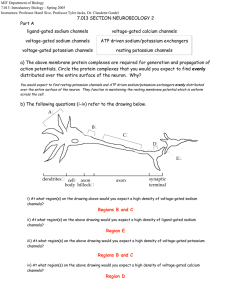 MIT Department of Biology 7.013: Introductory Biology - Spring 2005