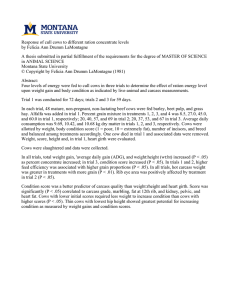 Response of cull cows to different ration concentrate levels