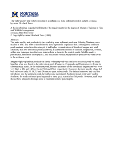 The water quality and fishery resource in a surface coal... by Anne Elizabeth Tews