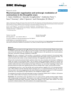 BMC Biology Neuromuscular organization and aminergic modulation of Drosophila