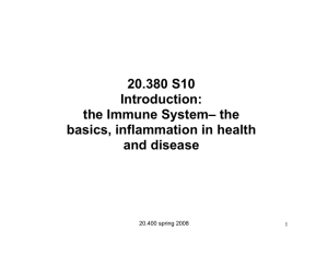 20.380 S10 Introduction: the Immune System– the basics, inflammation in health