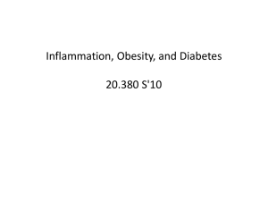Inflammation, Obesity, and Diabetes 20.380 S'10