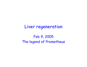 Liver regeneration Feb 9, 2005 The legend of Prometheus