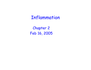 Inflammation Chapter 2 Feb 16, 2005