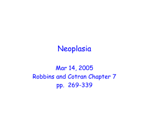 Neoplasia Mar 14, 2005 Robbins and Cotran Chapter 7 pp.  269-339
