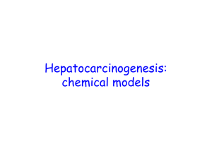 Hepatocarcinogenesis: chemical models