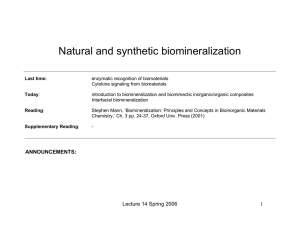 Natural and synthetic biomineralization