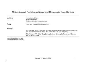 Molecules and Particles as Nano- and Micro-scale Drug Carriers