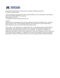 Biosynthesis of hydrocarbons in the American cockroach, Periplaneta americana