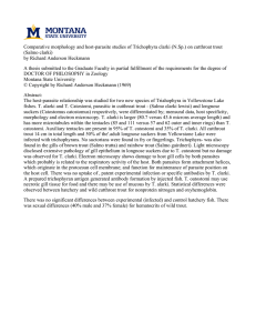 Comparative morphology and host-parasite studies of Trichophyra clarki (N.Sp.) on... (Salmo clarki)