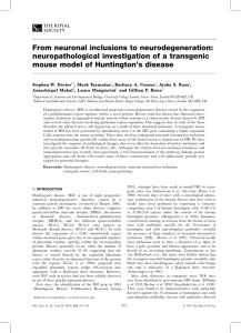 From neuronal inclusions to neurodegeneration: neuropathological investigation of a transgenic
