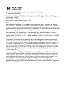 Initiation of the reproductive stage in wheats varying in winterhardiness