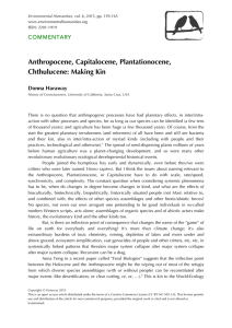 Anthropocene, Capitalocene, Plantationocene, Chthulucene: Making Kin COMMENTARY