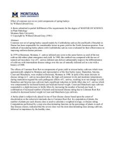 Effect of common root rot on yield components of spring... by William Edward Grey