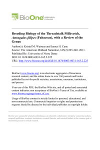 Breeding Biology of the Threadstalk Milkvetch, Genus Astragalus filipes