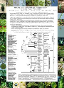 TOWARD RESOLUTION OF THE “FUZZY NODES” IN GREEN PLANT PHYLOGENY SPECIES