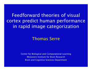 Feedforward theories of visual cortex predict human performance in rapid image categorization