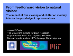 From feedforward vision to natural vision: inferior temporal object representations