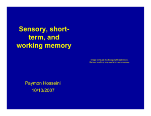 Sensory, short- term, and working memory Paymon Hosseini
