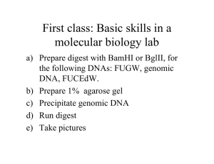 First class: Basic skills in a molecular biology lab