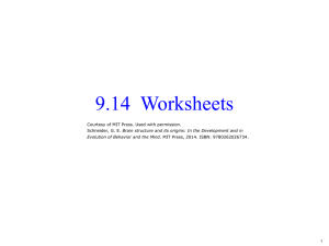 9.14  Worksheets