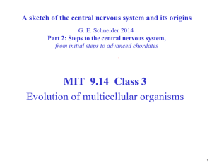 MIT  9.14  Class 3  Evolution of multicellular organisms