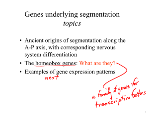 Genes underlying segmentation topics