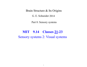MIT  9.14  Classes 21-23 Sensory systems 2: Visual systems