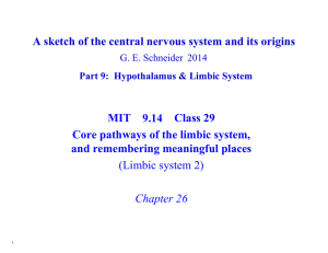 MIT  9.14  Class 29 and remembering meaningful places