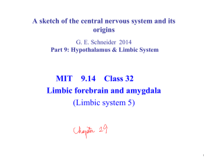 MIT  9.14  Class 32 Limbic forebrain and amygdala