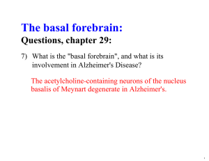 The basal forebrain: Questions, chapter 29: involvement in Alzheimer' s Disease?