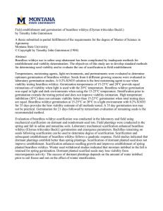 Field establishment and germination of beardless wildrye (Elymus triticoides Buckl.)