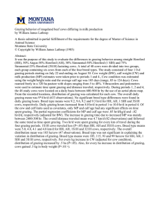 Grazing behavior of rangeland beef cows differing in milk production