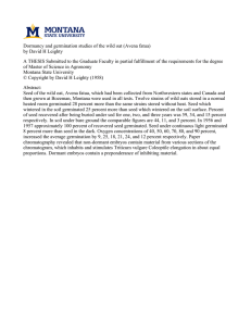 Dormancy and germination studies of the wild oat (Avena fatua)