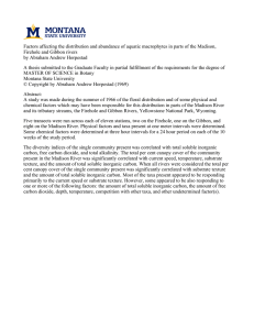 Factors affecting the distribution and abundance of aquatic macrophytes in... Firehole and Gibbon rivers