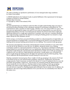 The effect of flushing on reproductive performance of ewes managed... by Arthur S Hoversland