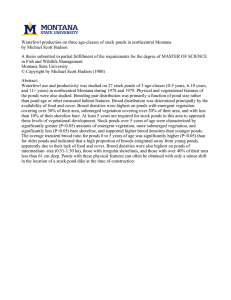 Waterfowl production on three age-classes of stock ponds in northcentral... by Michael Scott Hudson