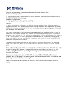 Incidence and distribution of helminth parasites and coccidia in Montana... by Richard Hilding Jacobson