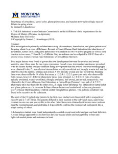 Inheritance of awnedness, kernel color, glume pubescence, and reaction to... Tilletia in spring wheat