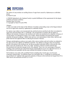 The effects of crop residues on seedling disease of sugar... drechs