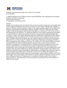 Dormancy and germination studies of the wild oat (Avena fatua)