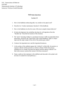 9.01 - Neuroscience &amp; Behavior Fall 2003 Massachusetts Institute of Technology