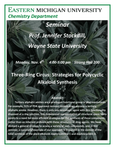 Seminar Prof. Jennifer Stockdill, Wayne State University