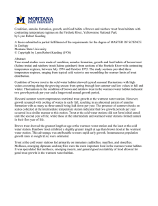 Condition, annulus formation, growth, and food habits of brown and rainbow... contrasting temperature regimes on the Firehole River, Yellowstone National Park