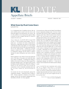 UPDATE Appellate Briefs What Goes Up Must Come Down